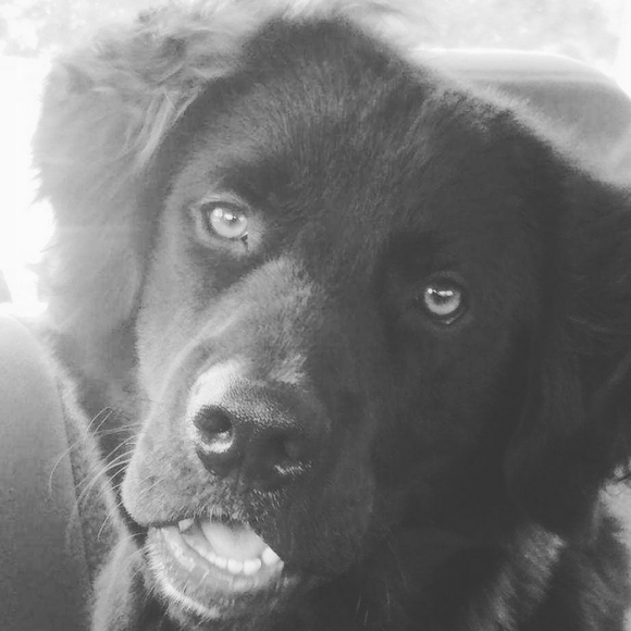 Meet your Posher, Krista - Picture 5 of 6